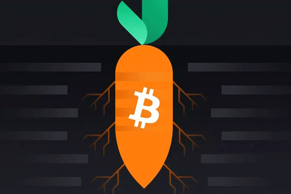 Vitalik与StarkWare支持的Kakarot推出以STARK为基础的以太坊ZK新方案